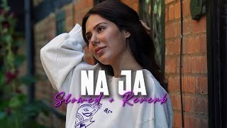 Na Ja Slowed  Reverb  Pav Dharia [upl. by Nanyt838]