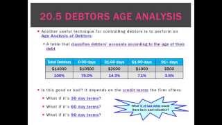 205 Debtors Age Analysis [upl. by Akeme932]