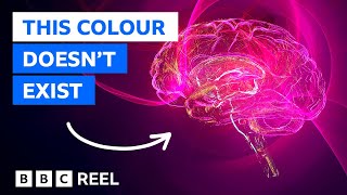 Magenta The colour that doesnt exist – BBC REEL [upl. by Malilliw]