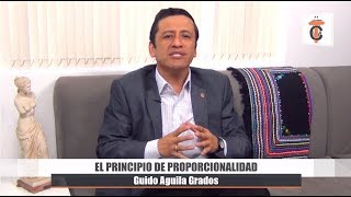 EL PRINCIPIO DE PROPORCIONALIDAD  Tribuna Constitucional 51  Guido Aguila Grados [upl. by Ema296]