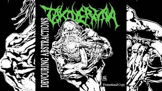 TAXIDERMIA  Devouring Abstractions Full EP 2024 [upl. by Loris]