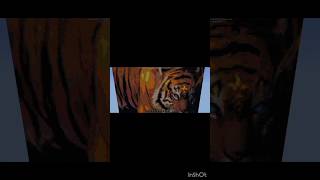 Minecraft tiger 😈😈😈🐯🐯🐯 minecraft tiger shortsfeed [upl. by Eustasius]