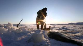 Inuit Culture in Greenland [upl. by Patnode343]