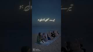 Allah allah quran allahknaam shorts reels motivation recitation islamictext [upl. by Tinor]