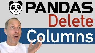 Python Pandas  How to DELETE COLUMNS from DataFrame [upl. by Eicats]