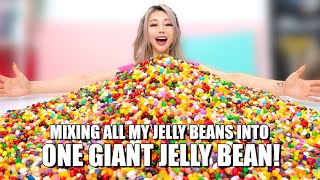 Mixing 10000 Jelly Beans Into One Giant Jelly Bean [upl. by Costin]