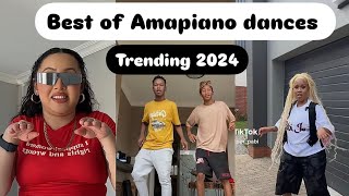 Best of TikTok Amapiano dances 2024 [upl. by Audres]