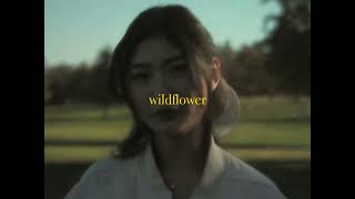 yung kai  wildflower Official Lyric Video [upl. by Ahsemo812]