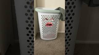 A distraught laundry bin funny viralshorts comedy [upl. by Toile]