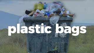 Heres how plastic bags impact the environment [upl. by Gusti741]