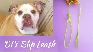 DIY Slip Lead  Make a Leash from a Rope [upl. by Hogan]