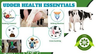 Udderly Vital A Comprehensive Guide to Cow Udder Healthudder dairy veterinary [upl. by Australia]