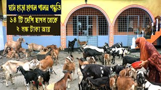 ছাগল পালন শুরু ২টি মা ছাগল দিয়ে  ছাগলের খামার থেকে ২০০০০০ টাকা আয়  Goat Farm in Home  Sagol Palon [upl. by Beacham]