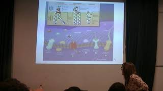 Transporte a través de Membranas Clase teórica IBH Facimed [upl. by Eusoj]