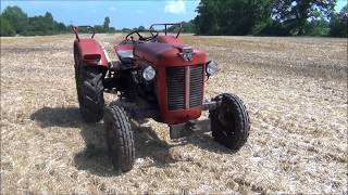 Massey Ferguson MF25 Bj 1961 [upl. by Nilyam]