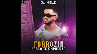 FORROZIN POSSO TE EMPURRA  DJ MELK [upl. by Neibaf]