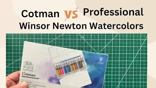 Product review Cotman Watercolors vs Winsor Newton Professional Watercolors [upl. by Rajewski431]