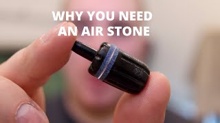 Do You Need An Air Stone In Your Aquarium [upl. by Airekahs]