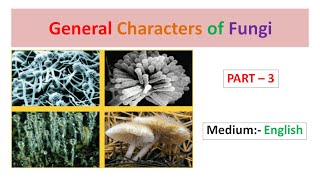 General Characters of Fungi Part3 English [upl. by Walton]