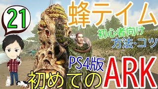 【アーク初心者0からガイド21】蜂テイム最終回！初心者向けの方法＆コツ＆場所！【ARK Survaival Evolved PS4版】 [upl. by Kalvn]