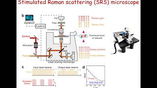 CHEMICAL MICROSCOPY WITH COHERENT RAMAN SCATTERING [upl. by Nonrev]