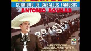 Antonio Aguilar Adios al As de Oroswmv [upl. by Hinch]