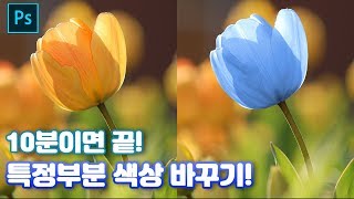 포토샵 강좌 꿀팁 10분안에 끝내요 특정부분 색상 바꾸기 photoshop color change effect [upl. by Mitzi654]