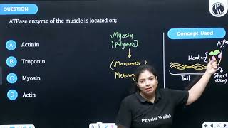 ATPase enzyme of the muscle is located on [upl. by Ailana]