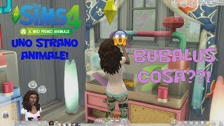 TOPI CRICETI RICCI E ANIMALI MISTERIOSI  The Sims 4 IL MIO PRIMO ANIMALE STUFF PACK [upl. by Ednew]