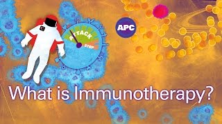 Cancer Immunotherapy 101 with Dr E John Wherry [upl. by Iahs]