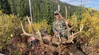 Idaho Archery Elk Hunt SOLO  Stuck N the Rut 141 [upl. by Mir79]