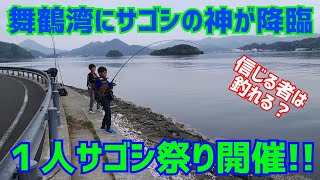 舞鶴湾にサゴシの神が降臨 １人サゴシ祭り開催【ショアジギング・小学生アングラー】 [upl. by Harilda475]