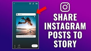 How to Share Instagram Posts to Story [upl. by Pacificia]