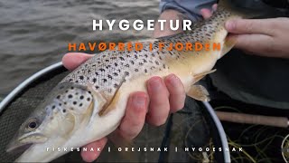 Hyggetur i fjorden  Havørredfiskeri [upl. by Love]