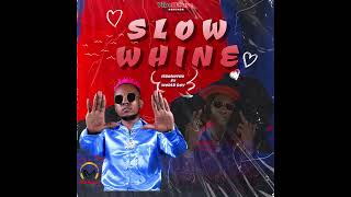 Mbokothostarmboks  Slow Whine ft Worldboy Official Audio [upl. by Floeter]