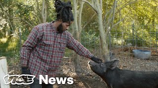 The Young Black Farmers Defying A Legacy of Discrimination [upl. by Cailly488]