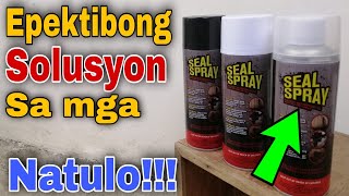 Seal Spray PH  Seal Spray Product Review and Testing  Mabisang Pantapal chitman [upl. by Hesther]