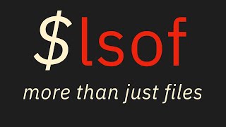 lsof A Quick Practical Guide [upl. by Cigam]