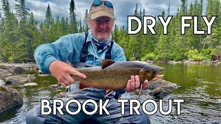 Ultimate Labrador Brook Trout Fishing [upl. by Imac950]