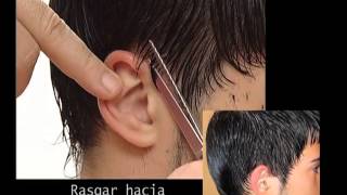 Corte de Pelo Masculino a Tijeras [upl. by Nnylrefinnej]