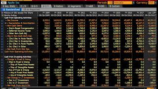 Bloomberg Terminal Financial Analysis Function [upl. by Jordana]