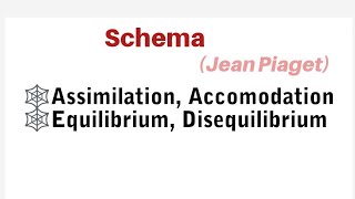 Piaget Concept of Schema Assimilation Accomodation Equilibrium Disequilibrium [upl. by Kobylak463]