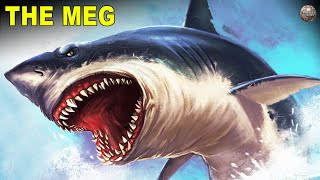 The Megalodon A Prehistoric Giant Shark That Ruled the Seven Seas [upl. by Eahsram]