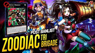 Deck Zoodiac TriBrigade Post Banlist June 2021 [upl. by Canice63]