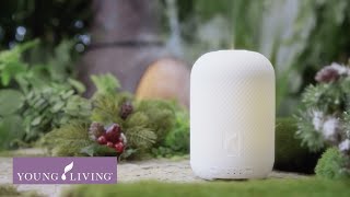 Haven Ceramic Diffuser  Young Living Essential Oils [upl. by Aryam103]