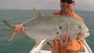 Fly Fishing for Large Jack Crevalle [upl. by Zora306]