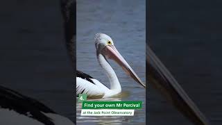 Ranger Tips Coorong National Park [upl. by Pears]