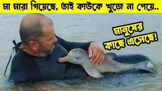 মা নেই তাই কাউকে খুজে না পেয়ে মানুষের কাছে এসেছে অভিযোগ করতে [upl. by Estrella]