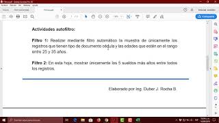 Filtros Automáticos Microsoft Excel [upl. by Anaiad104]