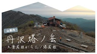 【山案内】丹沢・塔ノ岳 大倉尾根（バカ尾根）から三ノ塔尾根 MtTonodake [upl. by Ninaj549]